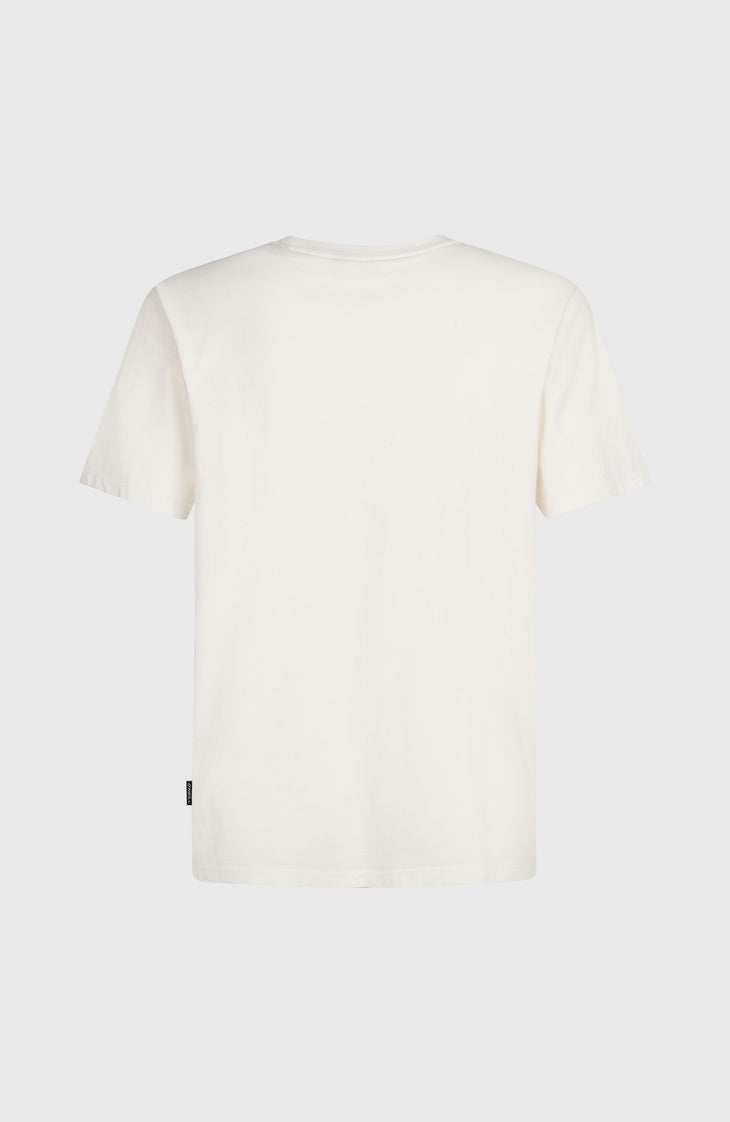 O'Neill Small Logo T-Shirt | Snow White