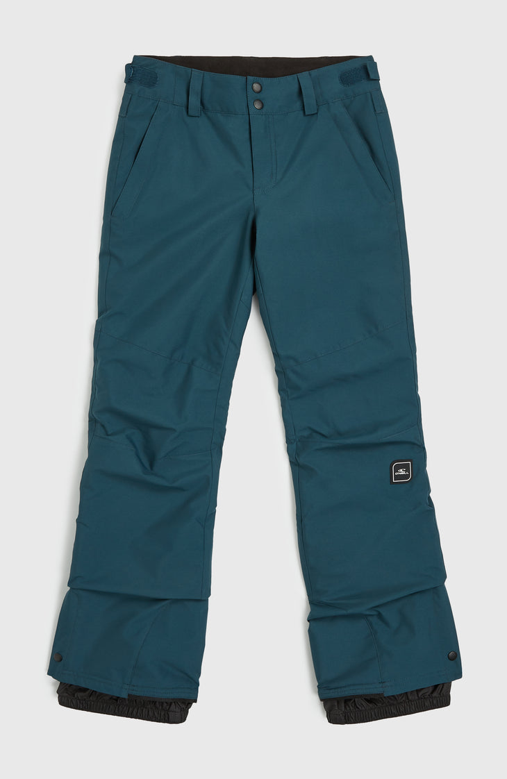 Star Regular Skihose | Alma Steel