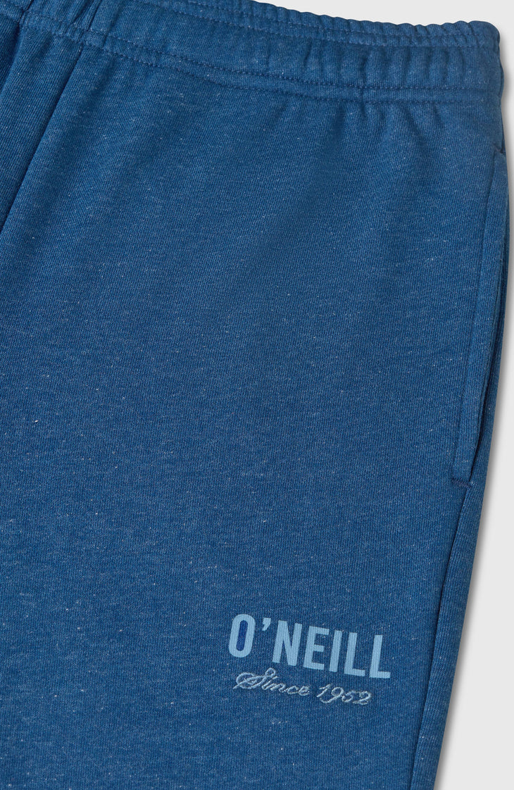 Essentials Jogginghose | Regal Blue