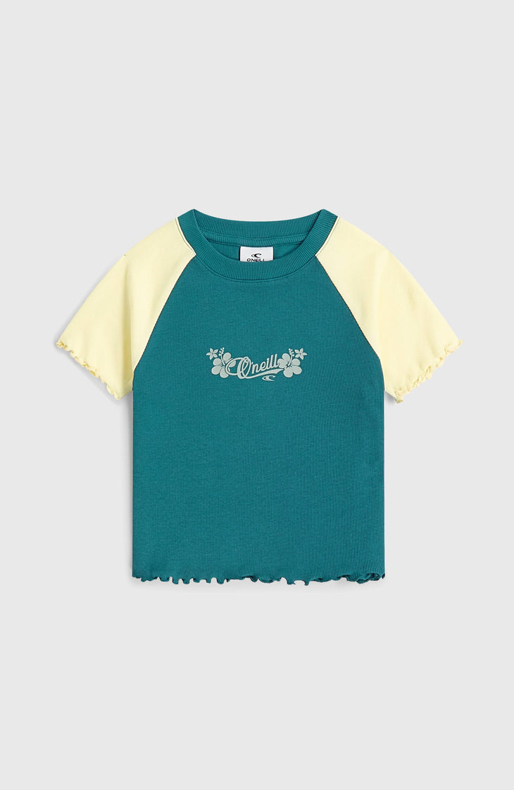 O'Neill Colour-Block Rib T-Shirt | Botanical Heat Colour Block