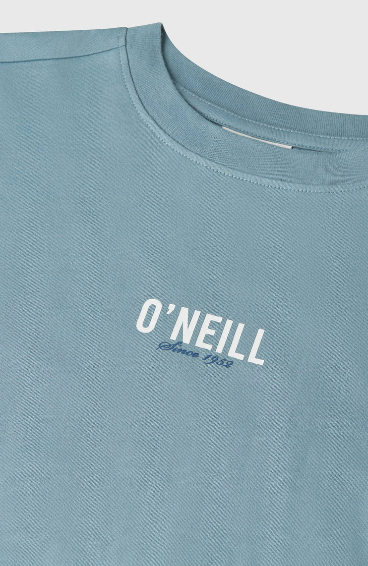 O'Neill Back-Print T-Shirt | Murky Water