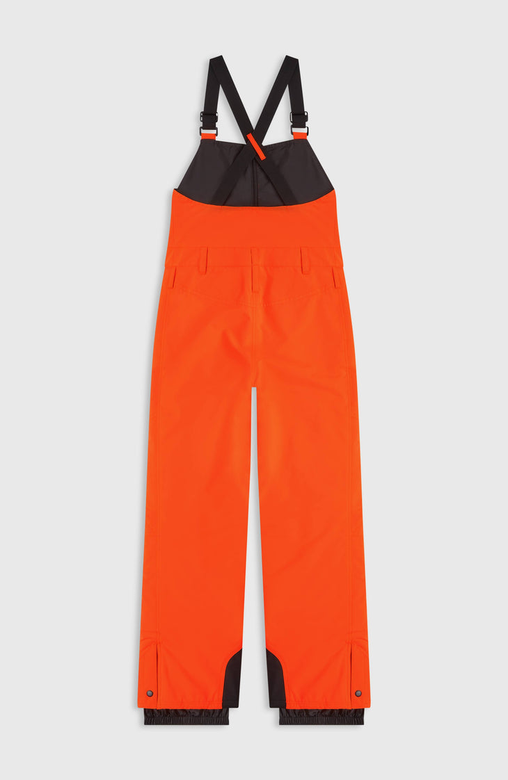 FWC'Cruz Bib Skihose | Tokyo Lights