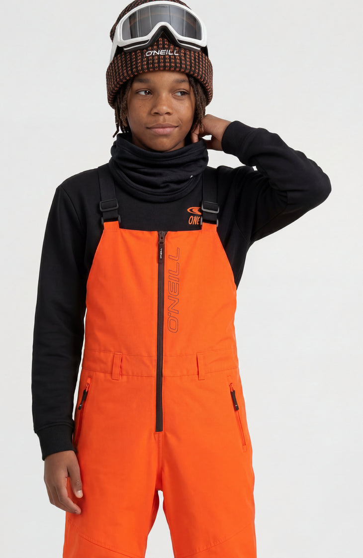 FWC'Cruz Bib Skihose | Tokyo Lights