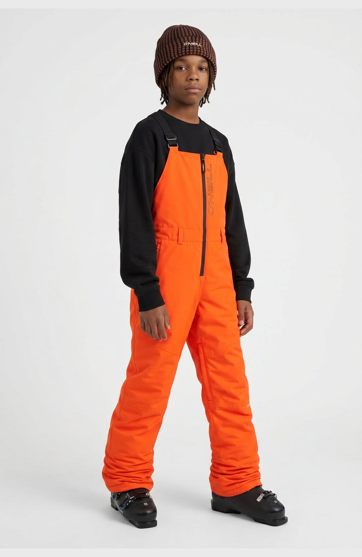 FWC'Cruz Bib Skihose | Tokyo Lights