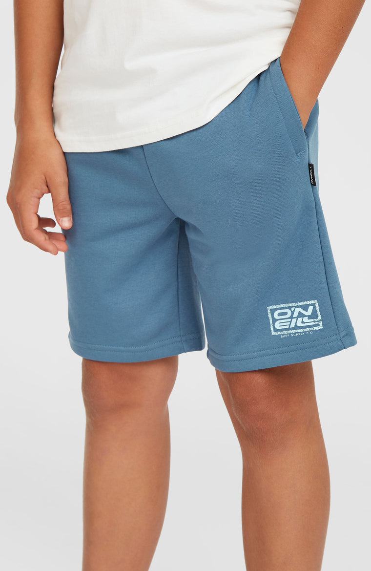 Logo Sweatshorts | Copen Blue Logo Sweatshorts | Copen Blue