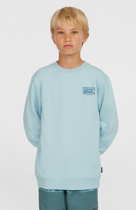 Logo Crew Sweatshirt | Morning Glory