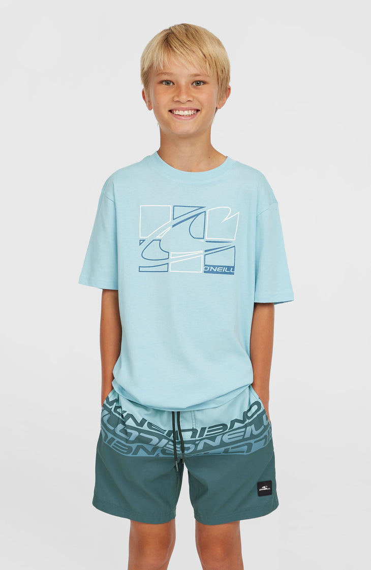 Cali Stripe 14'' Badehose | Blue Upside Down