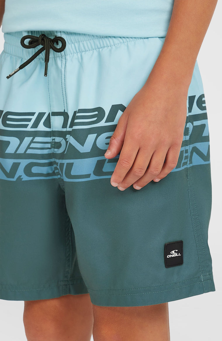 Cali Stripe 14'' Badehose | Blue Upside Down Cali Stripe 14'' Badehose | Blue Upside Down