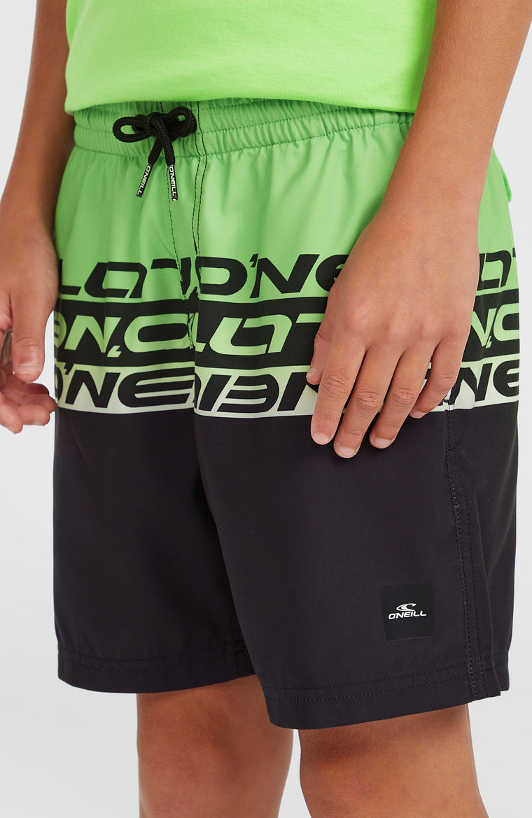 Cali Stripe 14'' Badehose | Green Upside Down Cali Stripe 14'' Badehose | Green Upside Down