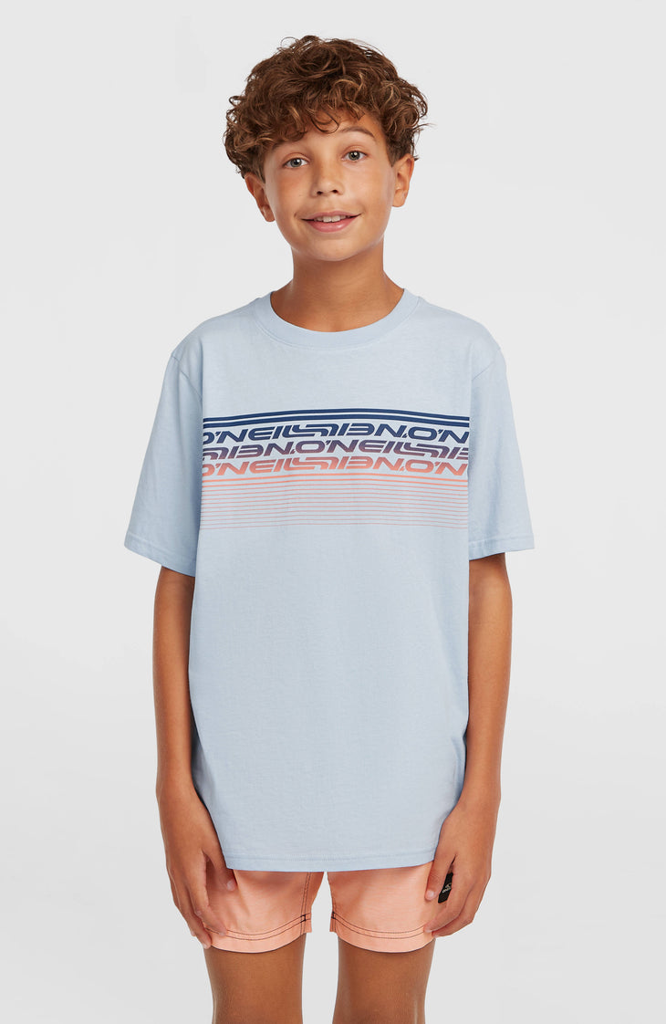 O'Neill Logo Stripe Badehose | Boys Purple Heritage O'Neill