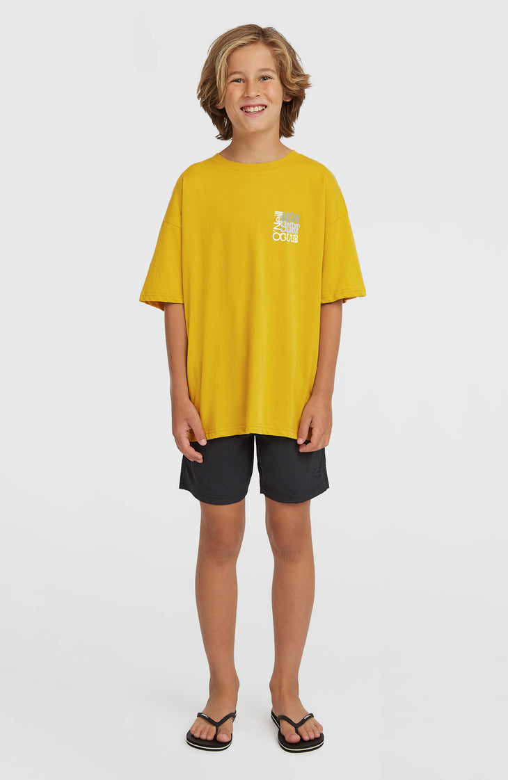 O'Neill Vert Badehose | Black Out