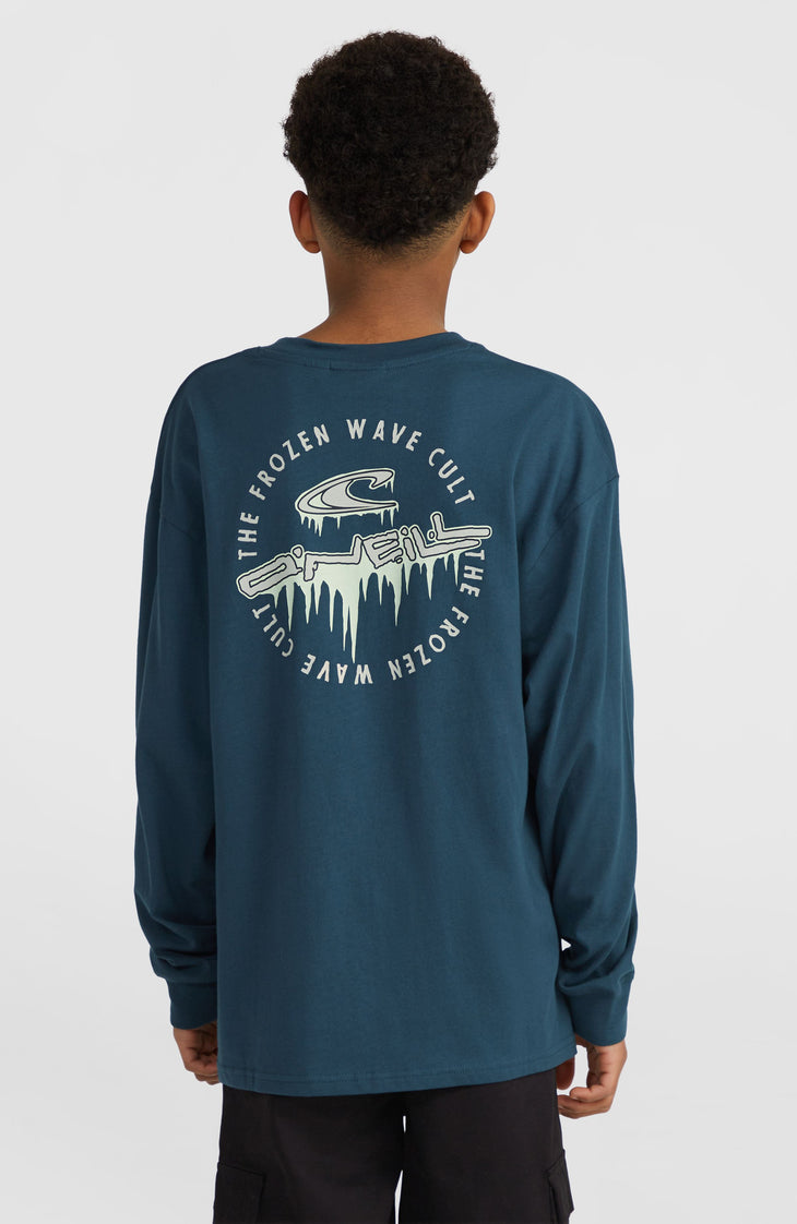 Graphic Langarmshirt | Alma Steel