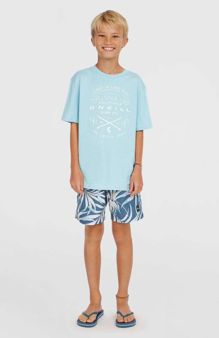 Jack O'Neill Muir T-Shirt | Morning Glory