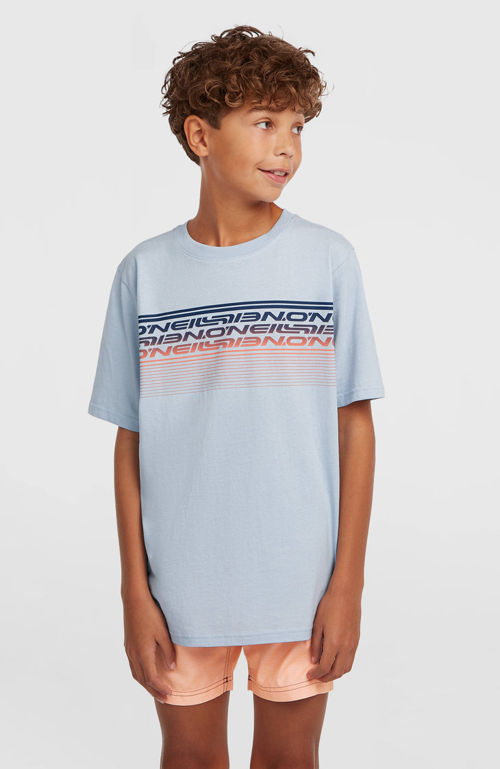 O'Neill Logo Stripe T-Shirt | Spindle