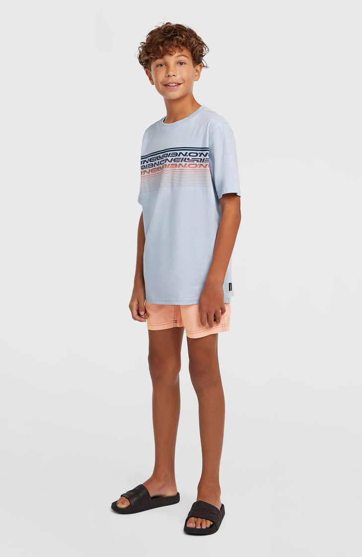 O'Neill Logo Stripe T-Shirt | Spindle