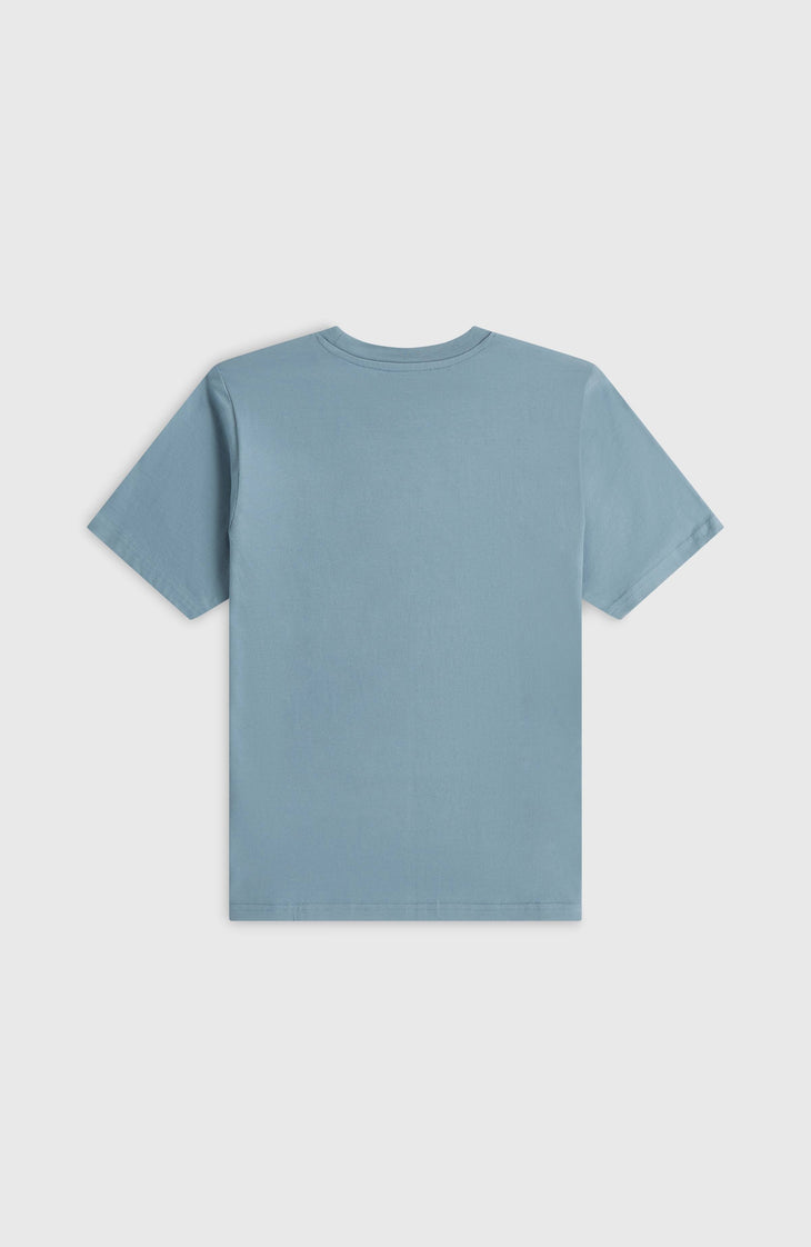 O'Neill Graphic T-Shirt | Murky Water