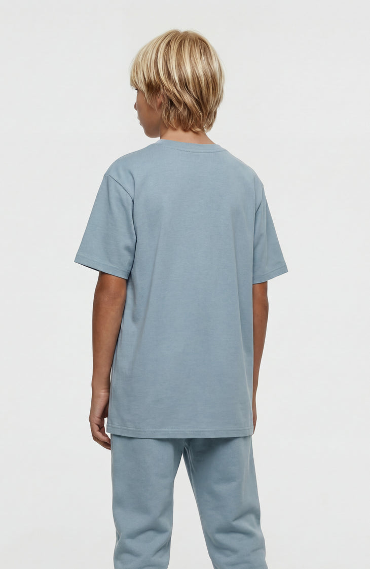 O'Neill Graphic T-Shirt | Murky Water