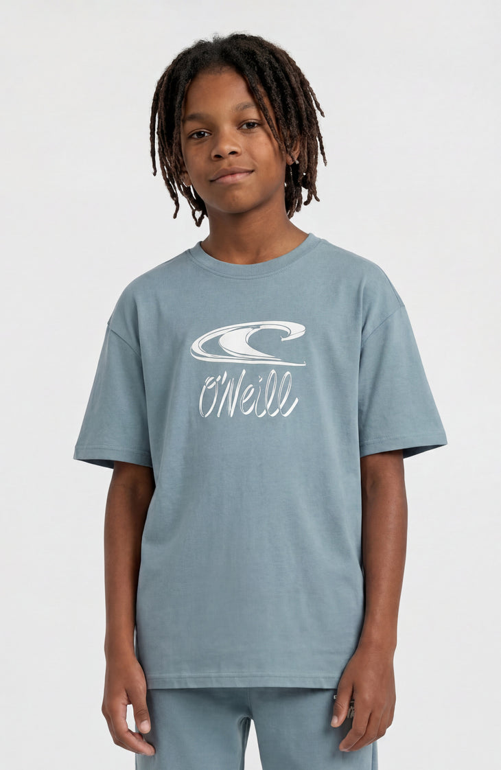 Essentials T-Shirt | Murky Water
