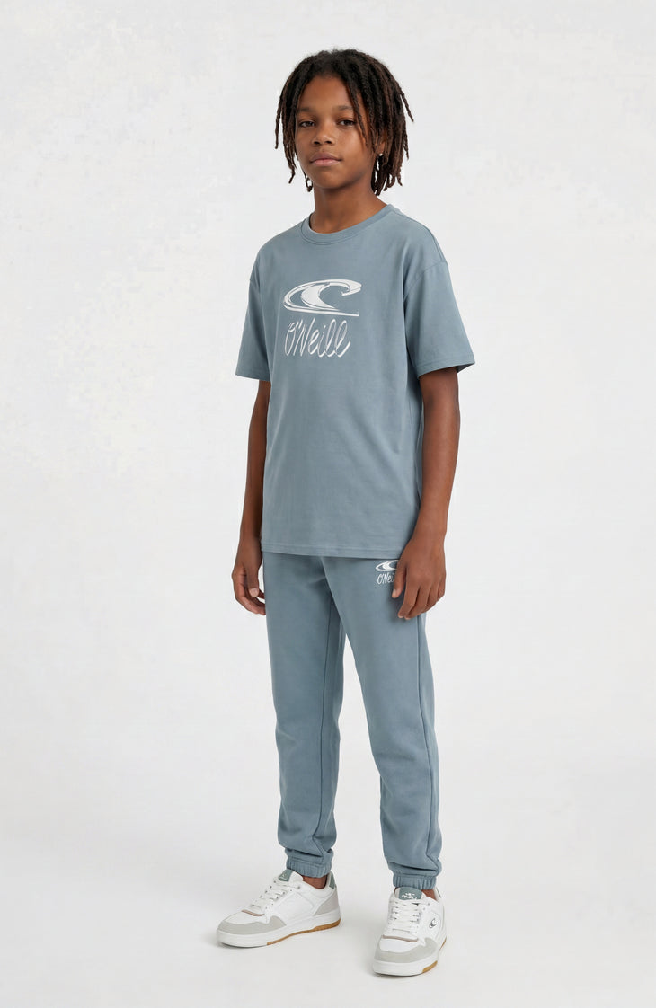Essentials T-Shirt | Murky Water