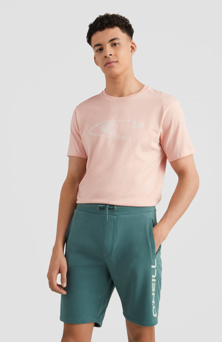 O'Neill Logo Sweatshorts | Sea Pine