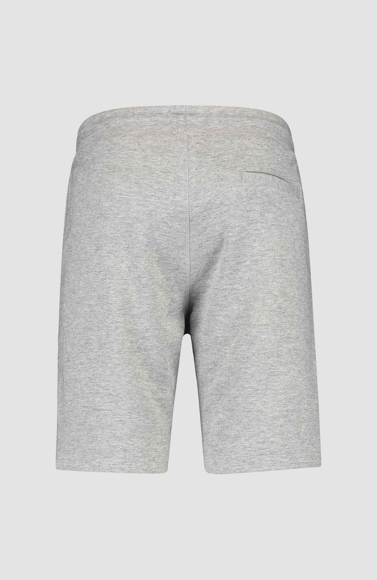 O'Neill Logo Sweatshorts | Silver Melee -A