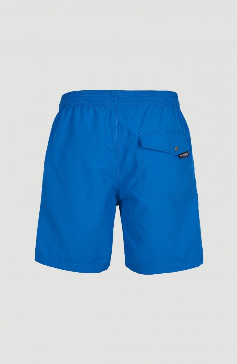 Vert 16'' Badehose | Victoria Blue
