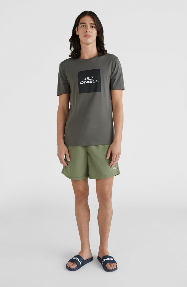 Vert Badehose | Deep Lichen Green