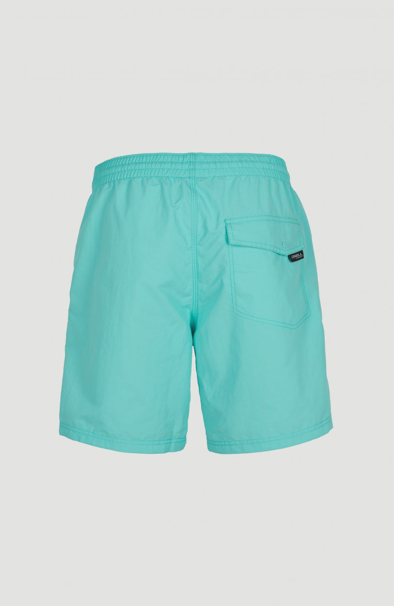 Vert 16'' Badehose | Aqua Spalsh