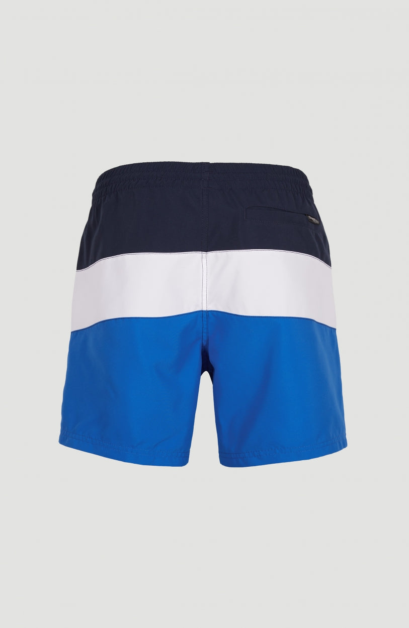Frame Block Badehose | Blue Multi 9