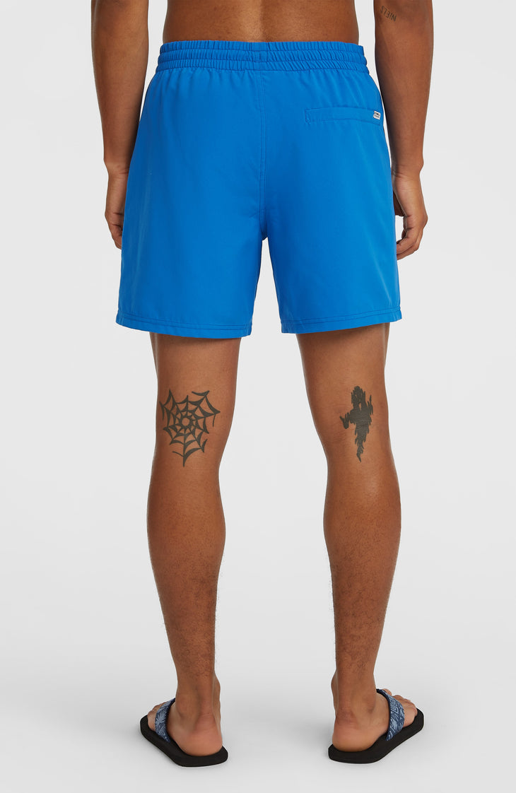 O'Neill Logo 16" Badehose | Victoria Blue