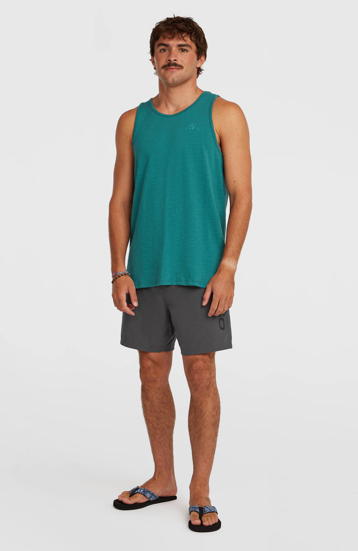 O'Neill Logo 16" Badehose | Asphalt