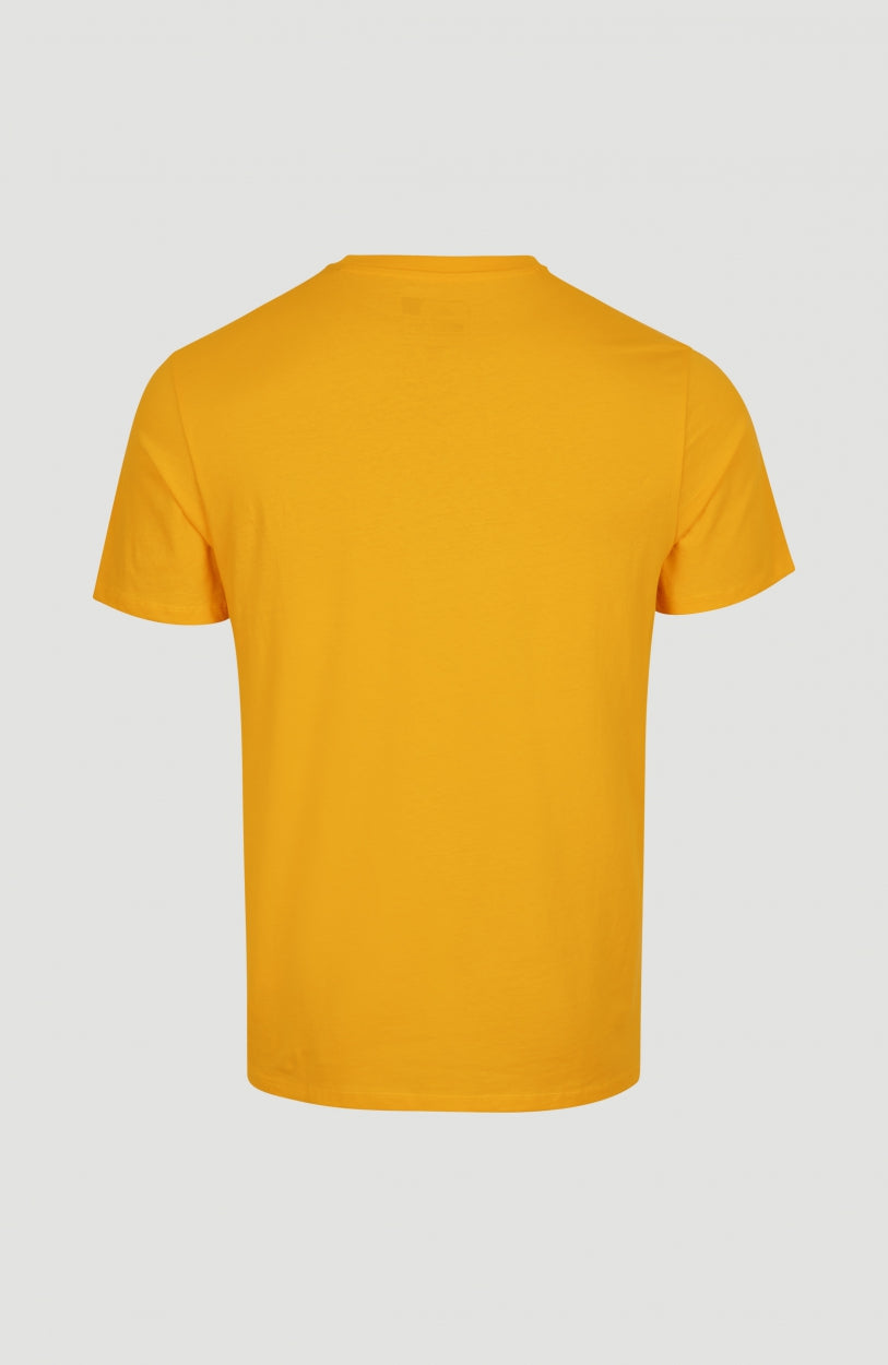 Cube Shortsleeve T-Shirt | Old Gold