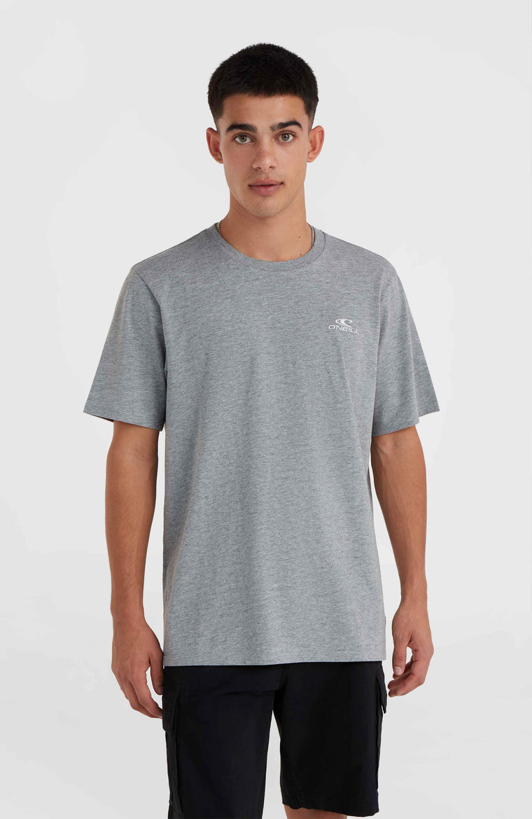 O'Neill Small Logo T-Shirt | Silver Melee O'Neill Small Logo T-Shirt | Silver Melee