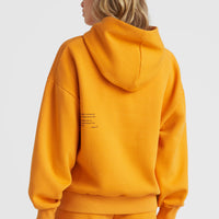 Future Surf Kapuzenpullover | Nugget