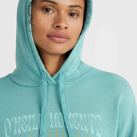 O'Neill Beach Vintage Hoodie | Ripling Shores