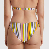 Cruz Bikini Hose | Multi Stripe