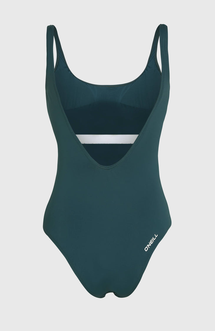 Essentials Script Badeanzug | Alma Steel