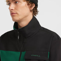 FWC'Peak Polartec® Fleecejacke | Emerald Envy Colour Block
