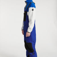 Shred Bib Skihose | Surf the web Blue