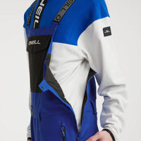 Shred Bib Skihose | Surf the web Blue