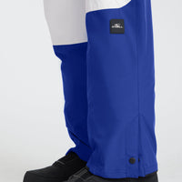 Jacksaw Skihose | Surf the Web Colour Block