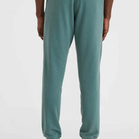 Small Logo Jogginghose | North Atlantic