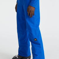 Hammer Skihose | Surf the web Blue