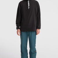 Hammer Regular Skihose | Alma Steel