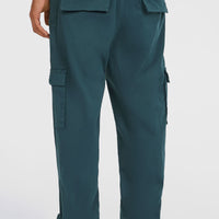 Essentials Cargohose | Alma Steel