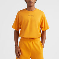 Future Surf Jogging-Shorts | Nugget