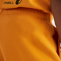 Future Surf Jogging-Shorts | Nugget