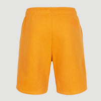 Future Surf Jogging-Shorts | Nugget