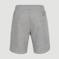 Future Surf Jogging-Shorts | Silver Melee