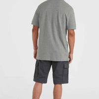 Park Cargo-Shorts | Asphalt